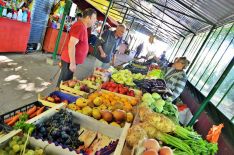 aleksandrovo_zelena pijaca_2